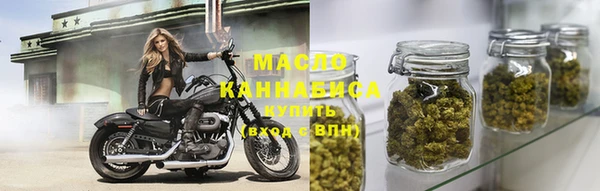 гашик Няндома