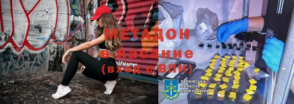 гашик Няндома