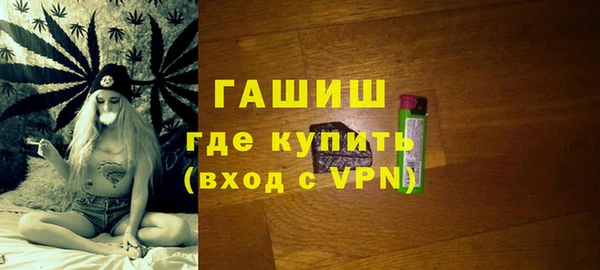 гашик Няндома