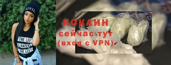 гашик Няндома