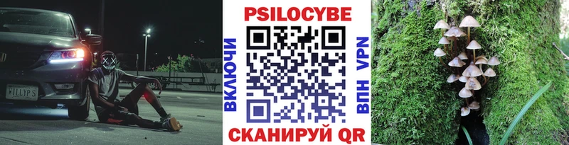 Галлюциногенные грибы GOLDEN TEACHER  хочу наркоту  кракен вход  Суздаль 