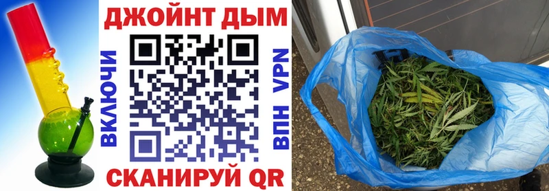Шишки марихуана Ganja Суздаль
